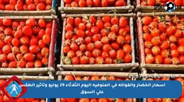 أسعار الخضار والفواكه في المنوفية اليوم الثلاثاء 29 يوليو وتأثير الطقس على السوق